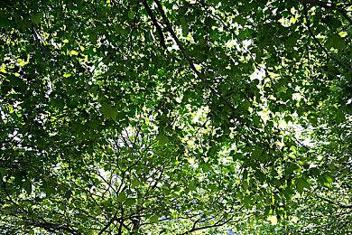 生化2重制版大获成功 Remedy对恐怖游戏更加自信